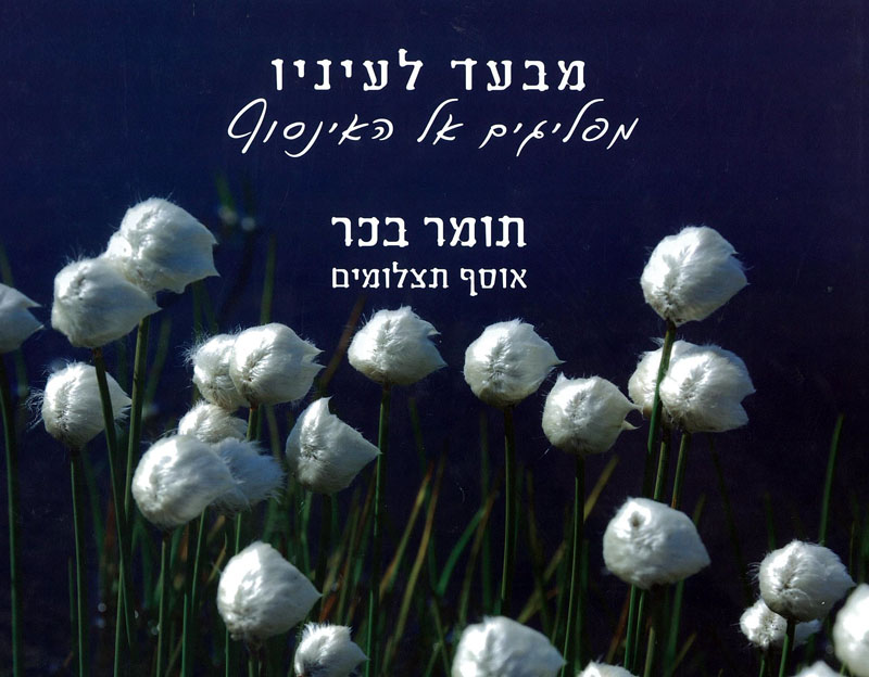 מבעד לעיניו - תומר בכר